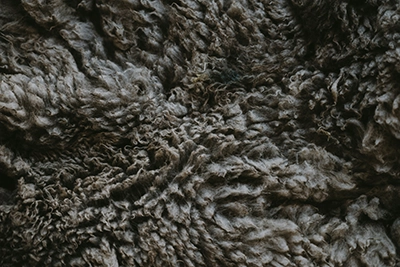 Wool